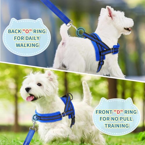 Lukovee Small Dog Harness and Leash Set, No Pull Soft Padded Vest | Both Neck & Chest Adjustable, Reflective, Puppy Harness with 4ft Lightweight Anti-Twist Dog Leash for Small Dogs (Blue, S) - color: Blue, size: S ( Chest 17.5'' ~ 22'')