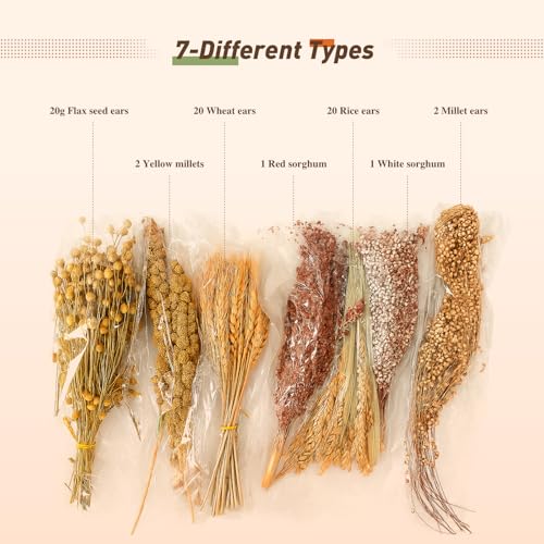 YeCheerful Hamster Sprays and Forage Accessories for Cages, Pet Mouse Decor Textures (7) - color: colorB