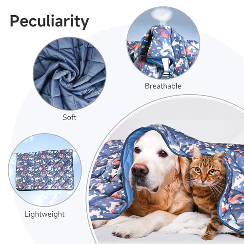 wegreeco Pet Dog Cooling Mat, Outdoor Dog Cooling Pad, Lightweight Bed Cooling Blanket for Dogs and Cats,Small Medium Large Puppy Cool Pad for Dogs,Cute S - color: Dog, size: Small
