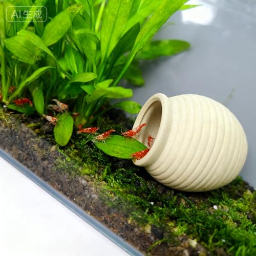 SpringSmart Aquarium Decor Rock Betta Fish Tank Decorations Ceramic Hideout Stone for Fish Shrimp Turtle Crab to Breed, Rest and Play, Small Fish Bowl Hiding Cave, Pot Shaped Betta Toys - size: TG