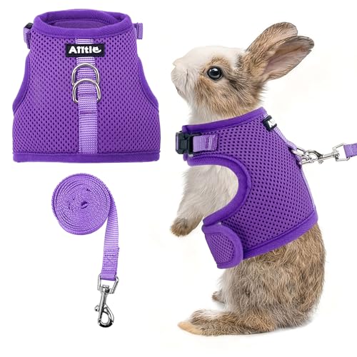 Breathable Bunny Harness and Leash Set Escape Proof, Purple S | Adjustable Straps & Magic Tape Design, Comfort Fit Vest for Puppies, Cats, Squirrels, Rats, Bunnies, Ferrets, Outdoor Walking - color: Purple, size: S