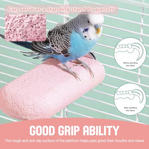 4PCS Bird Beak Grinding Stone,Bird Parrot Cage Perch Stand Platform Foot Claws Trimmer Chewing Toys,Washable Cage Furniture for Small Medium Bird,Budgies, Parakeets, Cockatiels, Conures(Pumice)