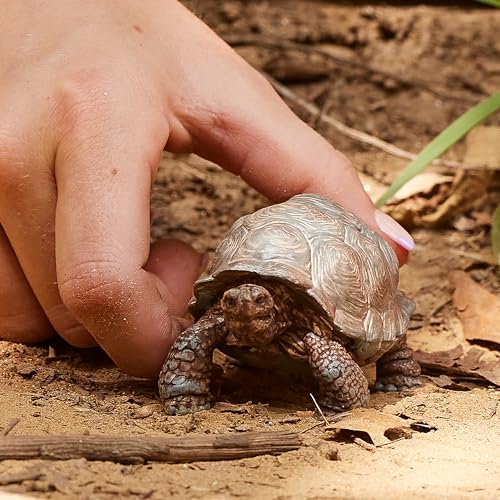 Schleich Wild Life - 3" Galapagos Giant Tortoise Figure - Realistic Turtle Toy for Boys and Girls - Wild Animal Educational Toy - Zoo Wildlife Figurine for Toddlers and Kids Ages 3+ | 13337