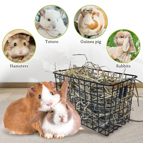 kathson 2Pcs Rabbit Hay Feeder Metal Bunny Hay Holder Guinea Pig Hay Rack Reduce Mess Chinchilla Grass Dispenser Small Animlas Hay Manger for Cage Supplies