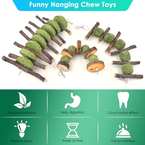 ERKOON Bunny Chew Toys, Rabbit Chew Toys for Teeth Grinding, Improve Dental Health, 100% Natural Apple Wood Timothy Grass Cake Treats for Rabbits Guinea Pigs Chinchillas Bunnies Hamsters (5 Pcs) - style: 5 Pcs