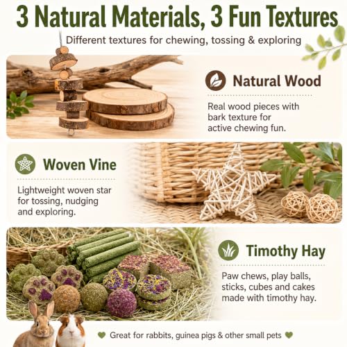 Grddaef Rabbit Toys, Guinea Pig Toys 17Pcs Natural Timothy Hay Bunny Chews and Treats for Hamster Chinchilla Gerbil - color: 17 Pcs