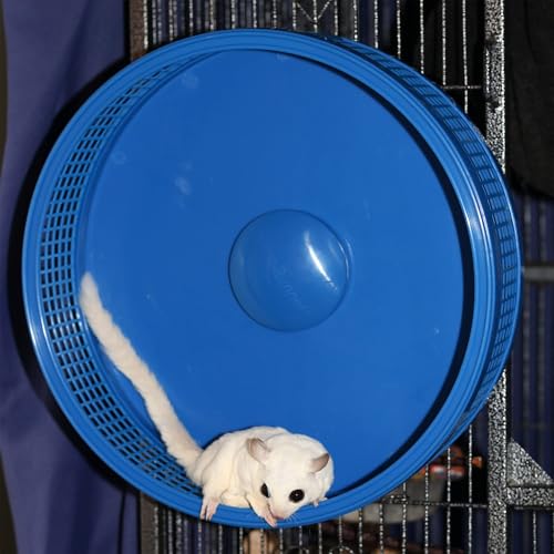 Silent Runner Pro | Sugar Glider Exercise Wheel (Black with Attachment) - color: Black with Attachment