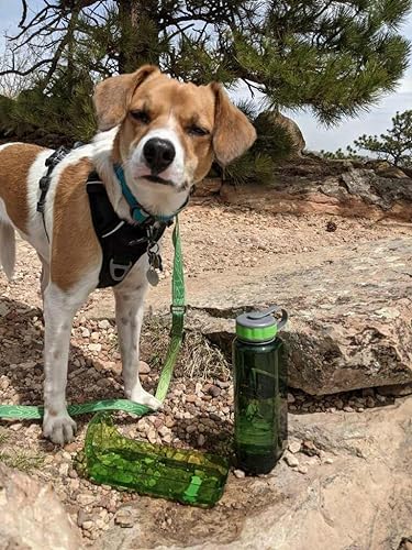 OllyDog OllyBottle | Tritan Dog Water Bottle with Detachable Bowl | BPA Free Leakproof Pet Dispenser | Hiking Travel (1L, Grass) - color: Grass, size: 1L