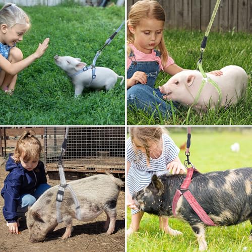 YeeBeny Mini Pig Harness Adjustable with Leash Foam Handle Blue, M | Adjustable Small Pig Harness with Leash Infinity Style Lead and Soft Foam Handle for Walking Training Jogging - color: Blue, size: M