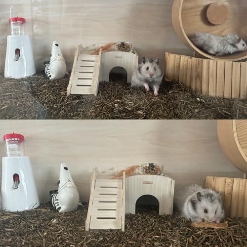 Syrian Hamster Hide with Wooden House, Climbing Ladder and Window, Detachable Hut Play/Chew/Hide