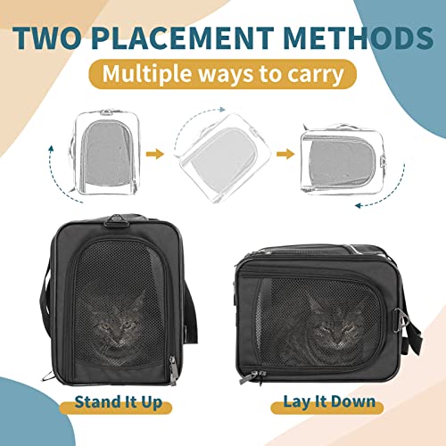 Petsfit Two-Way Placement Pet Carrier Airline Approved, Cat Carriers for Kittens, Puppies,Rabbit,Hamsters, Washable,Black - color: Black, size: 19"L x 9.5"W x 12.0"H