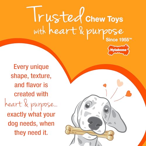Nylabone Power Chew Textured Bone Dog Toy, Peanut Butter Flavor, X-Large | Durable dog toys, long lasting, discourages destructive chewing, teeth-cleaning texture, flavor throughout, for dogs 50+ lbs - size: X-Large
