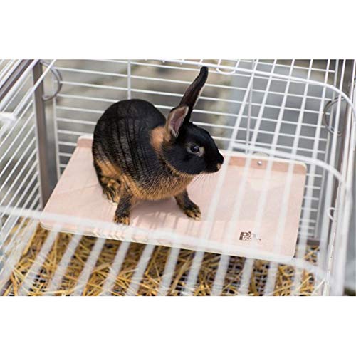 Prevue Pet Extra Large Wooden Platform Shelf - 3203