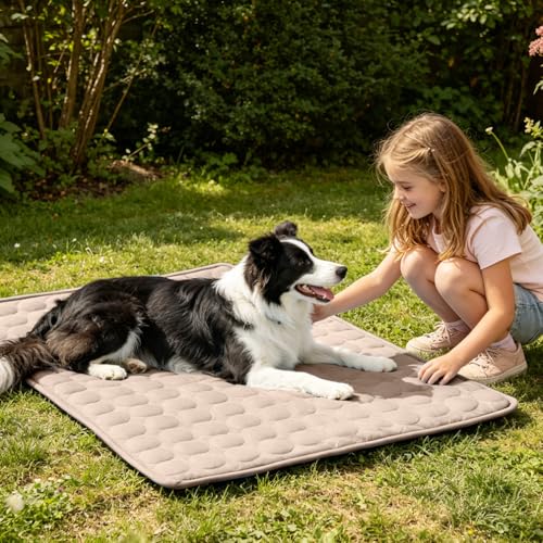 2026 Arc-Chill Upgraded Dog Cooling Mat Q-Max>0.4 Pet Cooling Pad | Non-slip Dog Bed Mats Washable Cooling Mat for Dogs Cats Instant Cool Relief for Indoor Floor Sofa, Outdoor Garden& Car Seats - color: Coffee, size: 28x22 in
