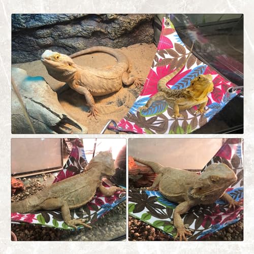 Reptile Bamboo Climbing Bridge,Lizard Ladder Hammock Bridge Bearded Dragon Hanging Bamboo Ladder Lounger Lizard Hammock Terrarium Vines Decor Reptile Habitat Tank Accessories for Chameleon Gecko - style: M【12.0 x 6.1 In】