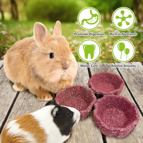 6 Pack Rabbit Chew Toys for Teeth Edible Timothy Hay Chewing Bowl Natural Guinea Pig Toys Small Animal Molar Treats for Bunny Chinchilla Mice Hamster (Purple) - color: Purple