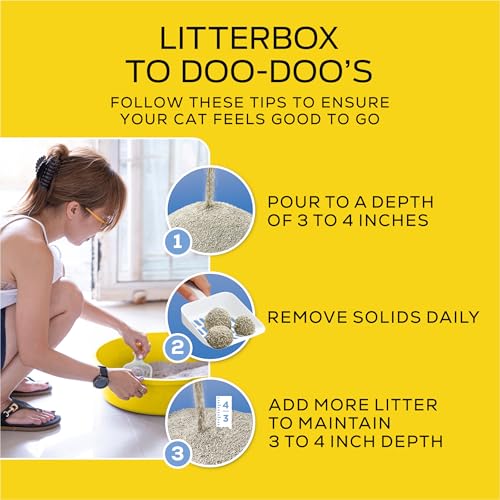 Purina Tidy Cats LightWeight 24/7 Performance Odor control, Multi-Cat, Clumping, 99.9 Percent Dust Free Cat Litter - 6 lb. Jug