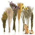 Sukh 47 Pcs Hamster Sprays - Natural Dried Flower and Herb Forage Mix | Sprays for Hamster Cage Accessories, Habitat Decor & Enrichment for Syrian Dwarf Hamsters, Gerbils, Guinea Pigs, Small Pets