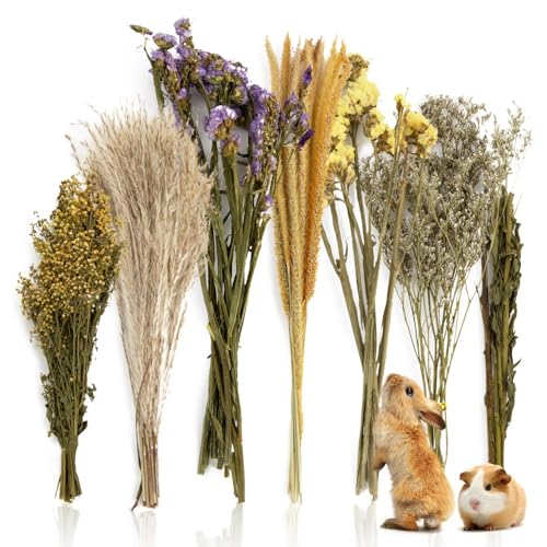 Sukh 47 Pcs Hamster Sprays - Natural Dried Flower and Herb Forage Mix | Sprays for Hamster Cage Accessories, Habitat Decor & Enrichment for Syrian Dwarf Hamsters, Gerbils, Guinea Pigs, Small Pets