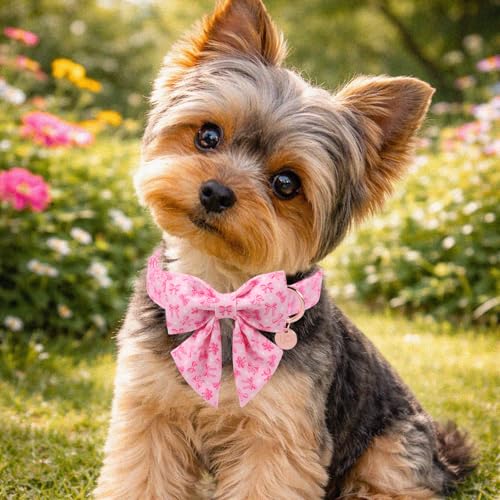 Pink Bow Dog Collar with Bowtie, Adjustable Cotton Puppy Collar with Charm and Metal Buckle, Bowtie Dog Collars for Small Medium Dogs - color: PinkBow CSB, size: XS