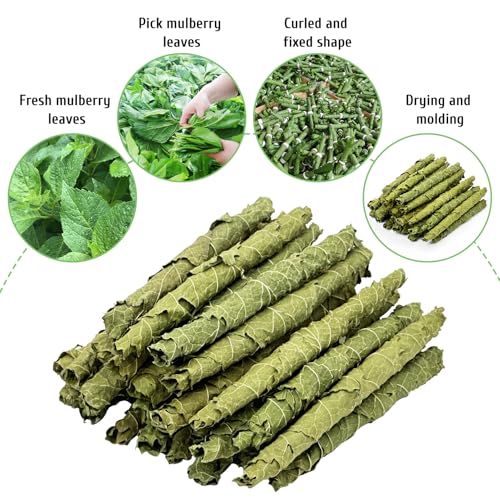 Fhiny Rabbit Chew Toys, 100g Natural Mulberry Leaf Crispy Rolls Small Animal Molar Snacks Chinchilla Sticks Guinea Pig Chews for Teeth Dental Care for Bunny Guinea Pig Chinchilla Hamster Gerbil