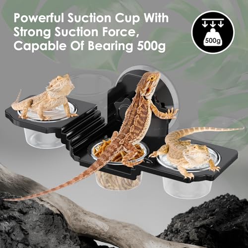 Crested Gecko Feeding Ledge with 6 PVC Cups，Strong Suction Reptile Feeder | Easy-Clean Space-Saving Crested Gecko Food & Water Dish, Ideal for Leopard Geckos, Lizards, Spiders ,Snails and Small Birds