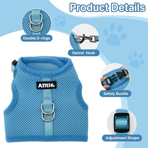 Adjustable Rabbit Harness and Leash Set Escape Proof, Blue M | Padded Vest with Magic Tape Design, Indoor/Outdoor Use (Training, Hiking) - Fits Hamsters, Rats, Iguanas, Puppies, Cats