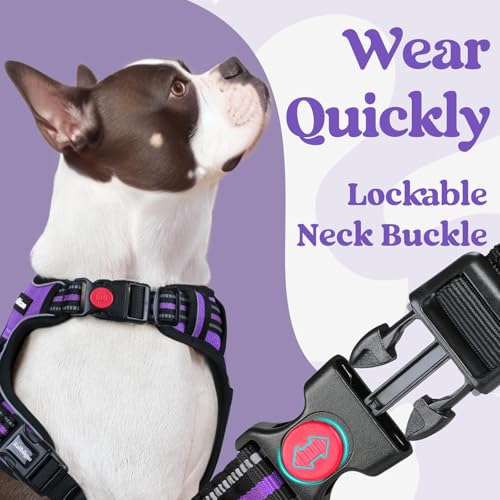 rabbitgoo Dog Harness Small Sized, Updated Easy On & Off with 3 Buckles | No Pull No Choke, Walking with 2 Clips and Handle, Adjustable Soft Reflective, Purple, Small - color: Purple, size: Small