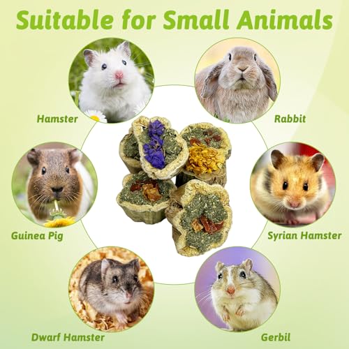 BNOSDM Hamster Chew Treats Chinchilla Natural Fruit and Vegetables Snacks Rabbit Papaya Toys for Teeth for Guinea Pigs Syrian Dwarf Hamsters Gerbils Mice, (3.52oz/100g),1PCS - color: Fruit & Vegetable - 1 Pack