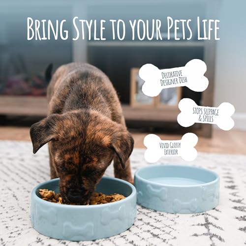 Manor Large Ceramic Pet Bowl – Blue, Durable Modern Design for Cats & Dogs - color: Blue, size: Large