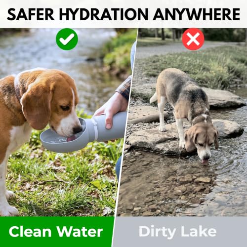 BICYSTAR Collapsible Water Bottle for Dogs, Foldable Leak-Resistant w/Drain-Back, Pet Travel Bowl, 18.6oz for Walks, Hiking & Road Trips