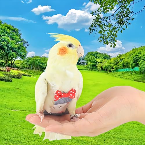 2Pcs Bird Diapers Bird Harness Flight Suits Diapers with 80 Inch Flying Leash Parrot Nappy Washable Cute Urine Wet Suit for Cockatiel Conure Macaw Budgies Parakeet-Rabbit&Kitten,M - size: M