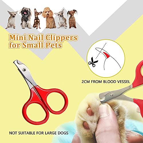 Food and Water Bowl for Hamster/Rabbit/Chinchilla/Guinea Pig Other Small Pets,Rabbit Guinea Pig Hay Feeder,Made from Non-Toxic, BPA Free Plastic and Minimizing Waste and Mess