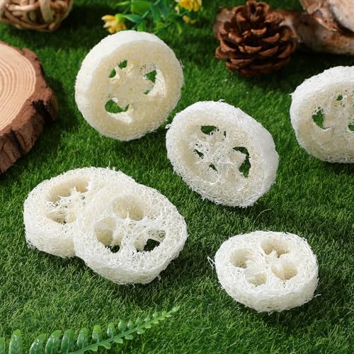 Toddmomy Rabbit Chew Toys 20pcs Loofah Teeth Grinding Toys Small Animal Tooth Cleaning Tools for Guinea Pig Chinchilla Hamster