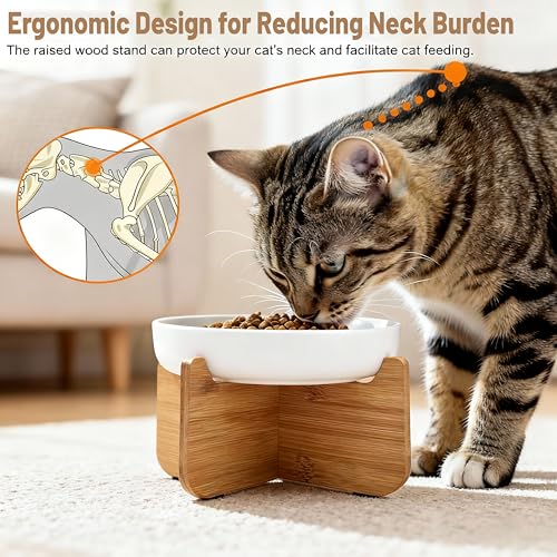 Shallow Elevated Cat Bowls with Bamboo Stand, 6.1 Inch Wide Ceramic Cat Dish Whisker Friendly, 2 Pack Pet Food and Water Plates - color: White 2 pack