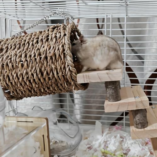 Hamiledyi Hamster Climbing Toys Wood Hanging Hammock Ladder Set Toys Cage Accessories for Syrian Hamster Gerbil Mice