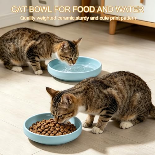 Shallow Elevated Cat Bowls with Bamboo Stand, 6.1 Inch Wide Ceramic Cat Dish Whisker Friendly, 2 Pack Pet Food and Water Plates - color: Sky blue elevated