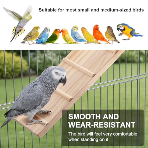 Wooden Bird Habitat Platform with Swing and Ladder - Sturdy Long Tailed Parrot cage Accessory, Suitable for Exercising and Entertaining Bird Games Gym - Perfect for Parrots, Canaries, Sparrows - size: 1