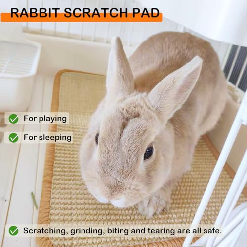 Rabbit Scratching Pad Natural Sisal Bunny Scratch Pad 16 x 12 Inch, Claws and Teeth Care Rabbit Scratcher Mats Chew Toys Indoor Bunny Accessories for Bedding Biting Sleeping Resting(2 Pack) - color: Beige-2, size: 15.7" x 11.8" (2 Pack)