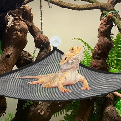 kathson Reptile Bridge for Terrarium,Bearded Dragon Wooden Bridges Gecko Hammock with Hanging Plants Lizard Lounger Bamboo Ladder Reptiles Tank Accessories Climbing for Chameleons Geckos Snakes (3Pcs) - size: Medium