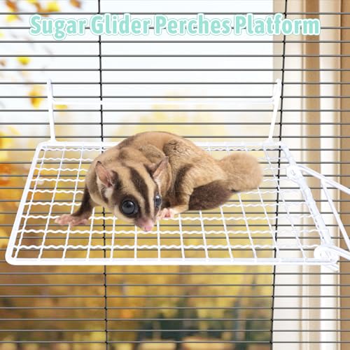 BNOSDM Rat Cage Platform with Ladder 4 PCS Small Animals Cage Accessories Metal Guinea Pig Climbing Toy for Sugar Glider, Chinchillas, Squirrel, Gerbils, Mouse Standing Jumping - color: White