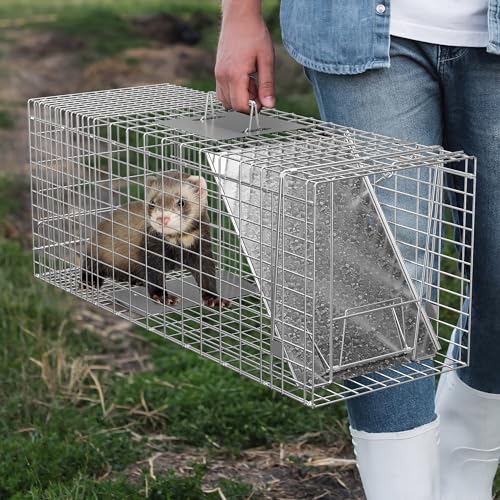 32 Inch Live Animal Cage Trap, One-Door Collapsible Catch and Release Humane Rodent Cage for Rabbits, Raccoon, Stray Cat, Squirrel, Mole, Gopher, Opossum, Skunk, Groundhog, Armadillos - style: 32" X 12" X 12.5" w/Iron Door