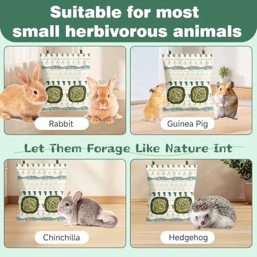 Rabbit Hay Bag 2 Pack - 2 Holes Hanging Bunny Hay Feeder Holder with Metal Hooks, Oxford Cloth Guinea Pig Feeding Bag Storage for Chinchillas Hamsters and Small Animals (White Green) - color: White Green