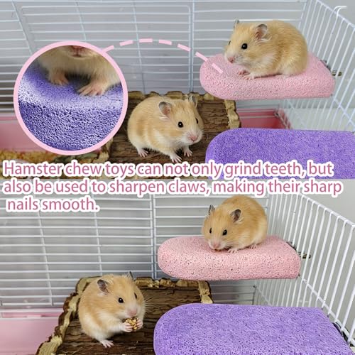 2 Pack Hamster Rat Lava Ledge Platform Teeth Grinding Chewing Toy (L)