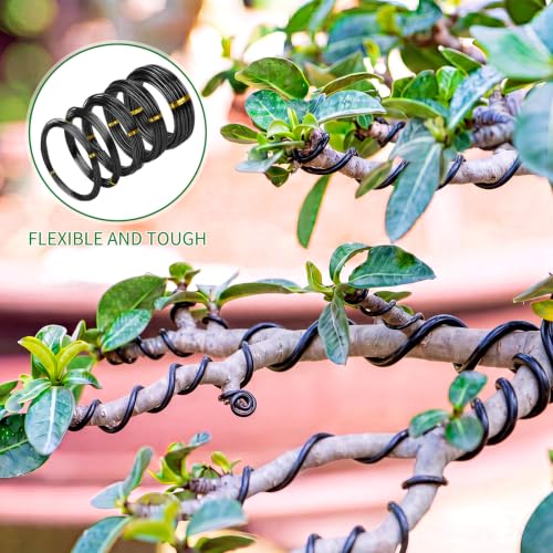 Mudder 5 Roll Aluminum Bonsai Training Wire Tree 1/1.5/2.0/4/6mm 85 Feet Total with Bonsai Wire Cutter Anodized Training for Holding Branches Small Trunks(Black) - color: Black, size: 1/1.5/2/4/6mm