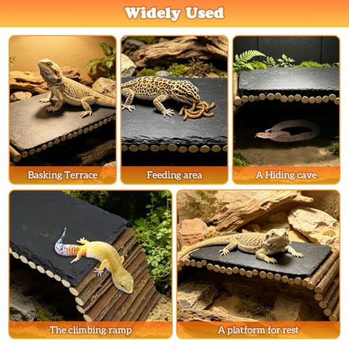 Reptile 19.7x5.9″Bendable Wooden Bridge with 5.9x9.8″Slate Rock Bearded Dragon Basking Platform Set Climbing Hideout Basking Terrace and Hide Cave for Lizard Flexible Gecko Habitat Decor - size: L: 19.7x5.9″ Wooden Bridge,5.9x9.8″Slate Rock