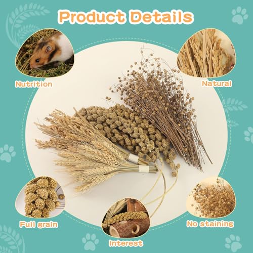 Hamster Spray Set - Natural Snack Grains & Chew Toys for Cage Decoration Accessories, Soft Bedding for Dwarf Syrian Hamsters, Gerbils, Mice & Small Pets - size: 4 Kinds of Grains