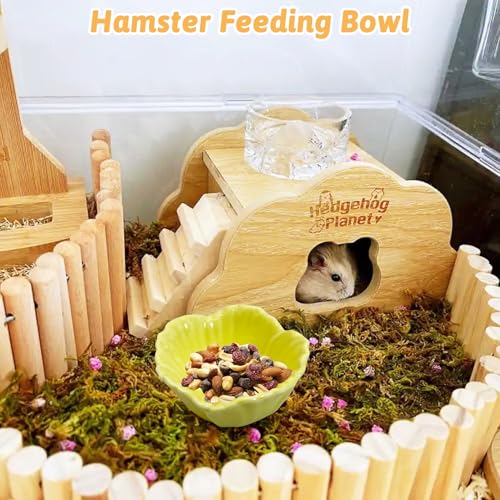 Tfwadmx 2 Pcs Hamster Food Bowl, Ceramic Dwarf Hamster Food Bowl Feeder Water Rat Bowl Small Animal Food Dish for Golden Bears, Hedgehogs, Dutch Pigs, Parrots (Yellow) - color: Yellow