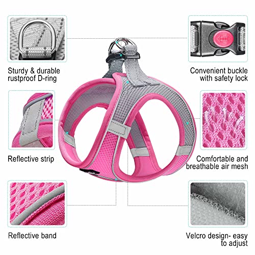 haapaw Dog Harness with Leash Set, No Pull Adjustable Reflective Step-in Puppy Harness with Thickened Padded Vest for Extra-Small/Small Medium Dogs - color: Grey / Pink, size: XS