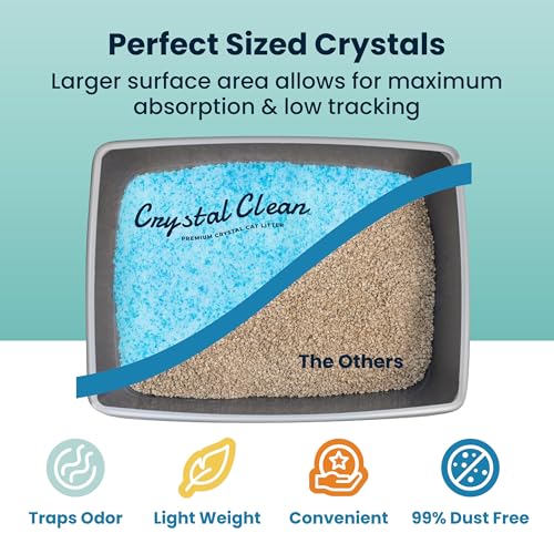 Crystal Clean Premium Fresh Scent Crystal Cat Litter with Odor Control (5X Faster), Best Lightweight, Non Clumping Kitty Litter to Absorb Urine, Dries Solid Waste (4X4.3 Lb Bags) - size: 4X4.3 Lb Bags